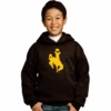 Wyoming Cowboys Youth Oversized Bucking Horse Hoodie – Brown -Sports Fashion Clothing Store 1 9