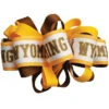 Wyoming Cowboys Loop Hair Bow -Sports Fashion Clothing Store 36354