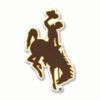 Wyoming Cowboys Flexible Magnet