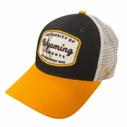 Wyoming Cowboys Calling Card Adjustable Hat β Gray/Stone/Gold