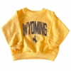Wyoming Cowboys Infant Crewneck – Gold -Sports Fashion Clothing Store 60875 infant