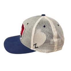 Wyoming Buffalo Flat Bill Hat – Gray/Stone/Navy -Sports Fashion Clothing Store 62147 2