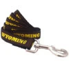 Wyoming Cowboys Dog Leash -Sports Fashion Clothing Store WYOMING L