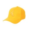 Wyoming Cowboys Tonal Flexfit Hat – Gold -Sports Fashion Clothing Store WYOZHT005001 1 2 scaled 1