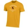UA Wyoming Cowboys Performance S/S Tee – Steel Gold -Sports Fashion Clothing Store apu03620947 um0706 307 ftq mq 1 3729350